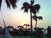 Roman Tverdovsky фотография #37 (источник - https://vk.com/id1707954)