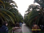 Фотография Аглиулина Алексея