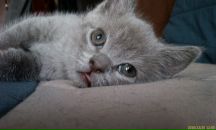 Фотография Горлищевой Галины