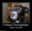 Фотография Васильева Дмитрия