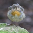 Фотография Логиной Леси