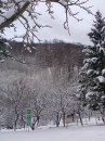 Вася Сірий фотография #30 (источник - https://vk.com/id70227408)