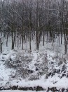 Вася Сірий фотография #29 (источник - https://vk.com/id70227408)