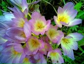 Валя Маслівець фотография #22 (источник - https://vk.com/id133647468)