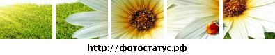 Фотография Марина Красикова