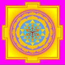 Фотография Затолочного Александра