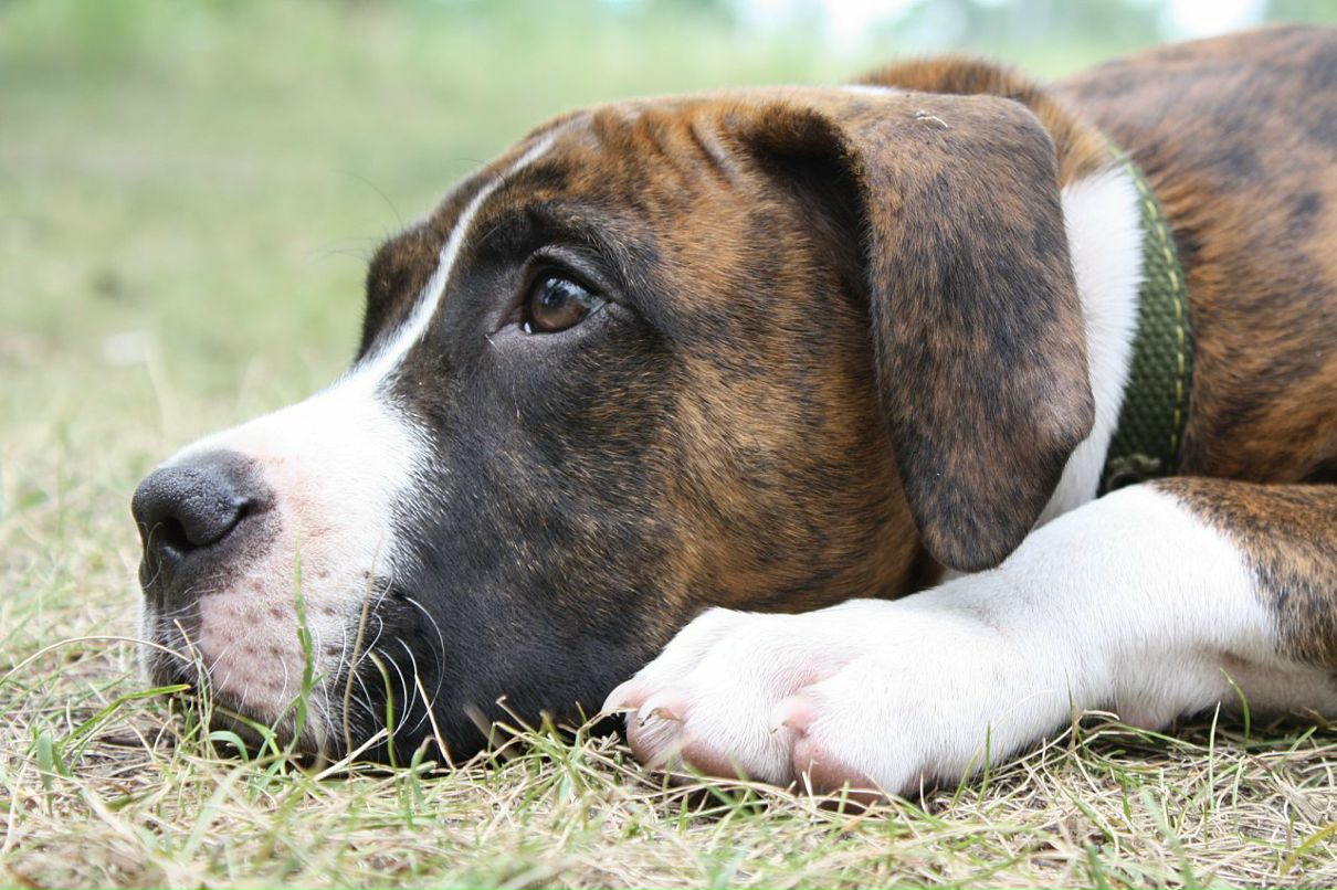 Кирилл Митяев фотография #7