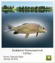 Сергій Кириченко фотография #6 (источник - https://vk.com/id81736351)