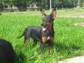 Фотография Виноградовой Елены