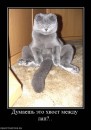 N[i]ki Baby фотография #50 (источник - https://vk.com/id66662499)