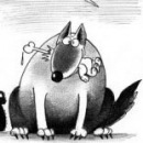 Фотография Ефимова Анастасия