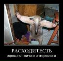 Em Em фотография #2 (источник - https://vk.com/id2386250)