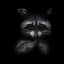 Фотография Шиловой Валерии