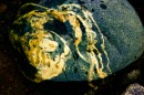Фотография Облакова Ильи