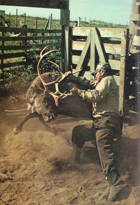 Anton Petroff фотография #24