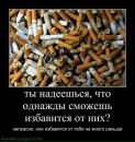 Андрій Мельник фотография #11 (источник - https://vk.com/id64812136)
