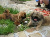 Софія Козловська фотография #31 (источник - https://vk.com/id31239202)