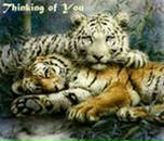 Фотография Сергеевны Алисы