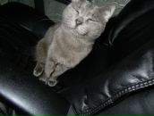 Фотография Царёвой Юлии