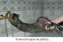 Софья Бугаёва фотография #2 (источник - https://vk.com/id774410)