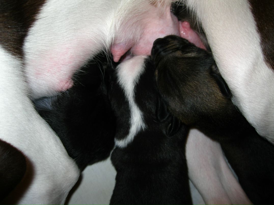 Станислав Стас фотография #50