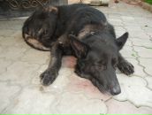 Фотография Ирхина Даша