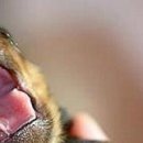 Каріно4ка♥ Шрамко фотография #9 (источник - https://vk.com/id147791993)