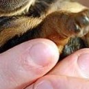 Каріно4ка♥ Шрамко фотография #24 (источник - https://vk.com/id147791993)