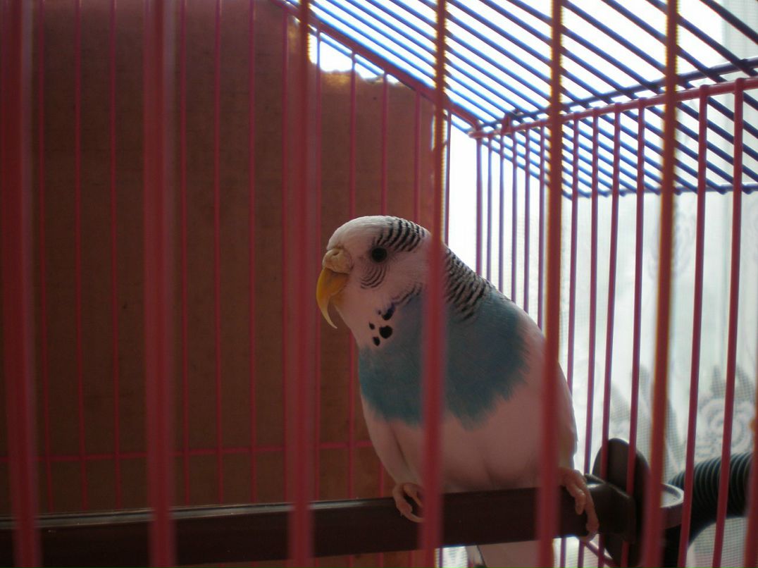 Инга Мищенко фотография #32