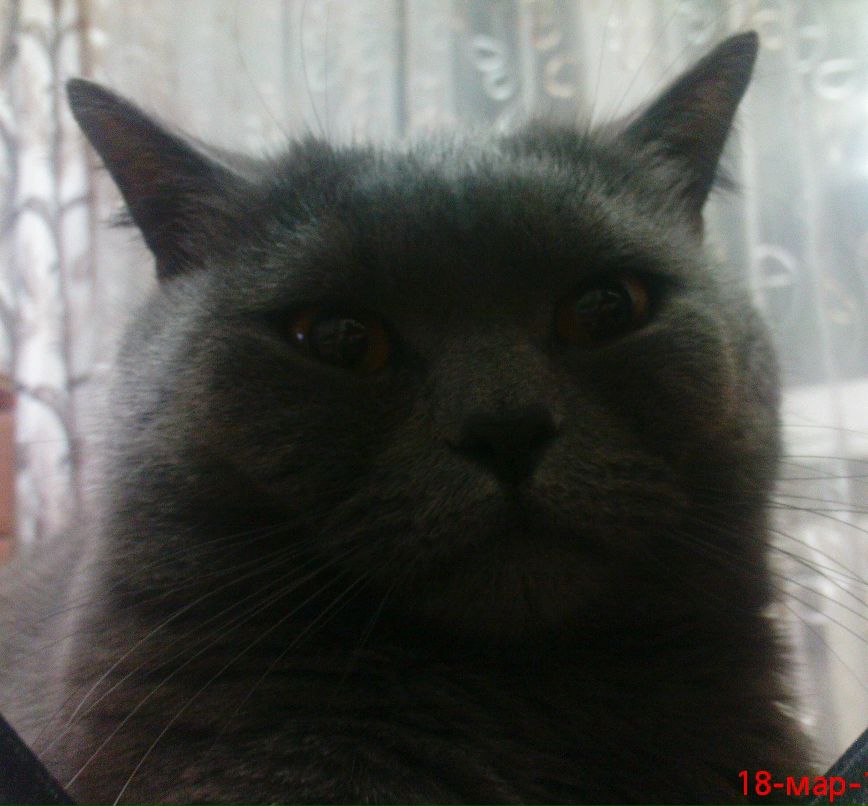 Игорь Соловьев фотография #46