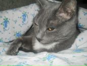 Фотография Багдасаряна Эдуарда