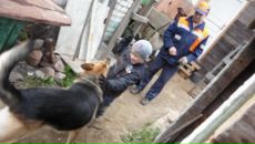 Андрей Евгеньев фотография #47 (источник - https://vk.com/id3372025)