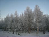 Sergey Kuznetsov фотография #36 (источник - https://vk.com/id2508276)