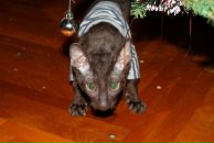 Фотография Лукьянова Павла