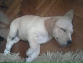 Максим Куварзін фотография #44 (источник - https://vk.com/id6530006)