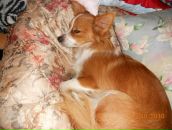 Валєра Орищук фотография #28 (источник - https://vk.com/id52458398)