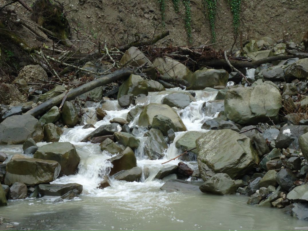 Игорь Исаков фотография #47