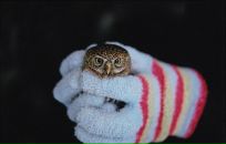 Фотография Малявиной Аллы