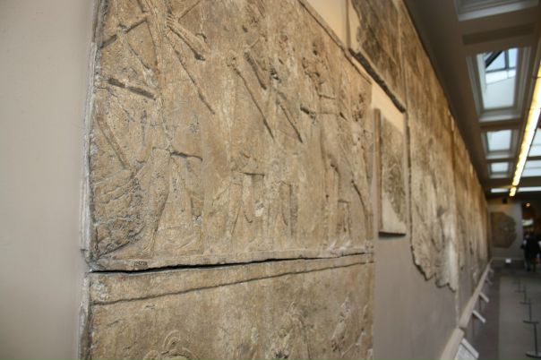 Дмитрий Гудков фото №48