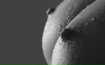 Фотография Сероева Дмитрия