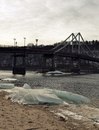 Діма Поліщук фотография #4 (источник - https://vk.com/id137439812)