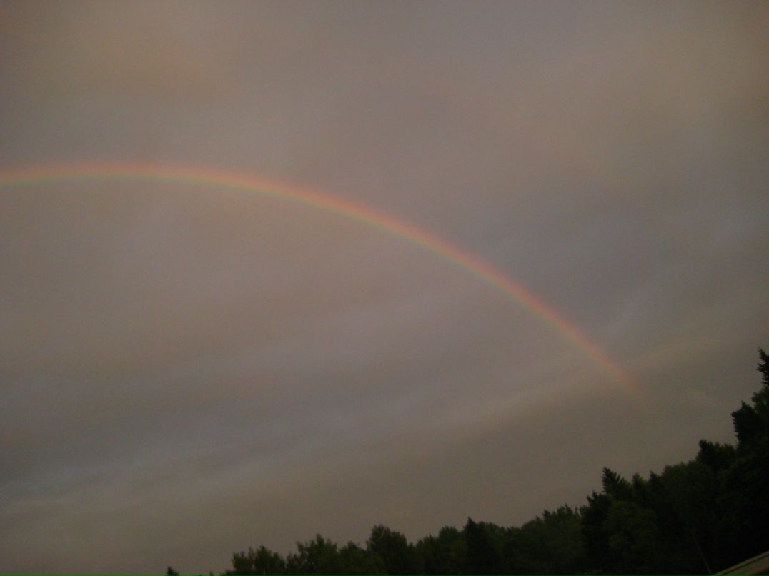 Дмитрий Линьков фотография #27