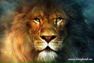 Фотография Варламова Андрея