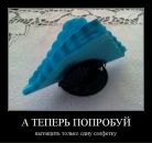 Константин Кудин фотография #14 (источник - https://vk.com/id108647)