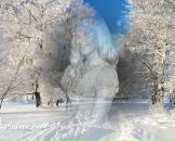 Фотография Ткачук Татьяны
