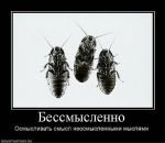 Лена :) фотография #29 (источник - https://vk.com/id8977513)