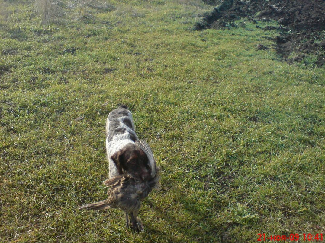 Павел Пашенко фотография #41