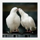 Фотография Бычковой Марины