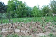 Андрій Черхавий фотография #6 (источник - https://vk.com/id7295328)