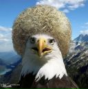 Магомед Шамилов фотография #5 (источник - https://vk.com/id139118124)